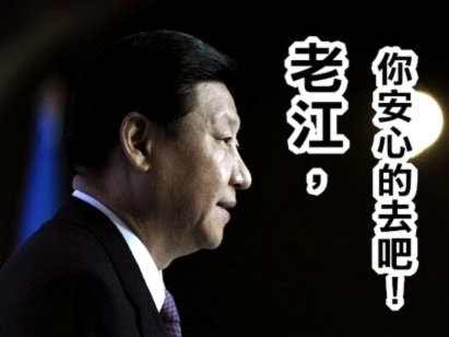 德乌洛费乌伤缺三年后重启训练，盼乌迪内斯复出